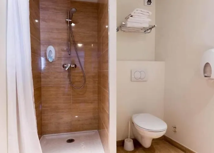 Saint Etienne Hotell Lourdes