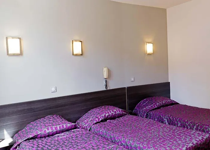 Hotel Saint Etienne 3*